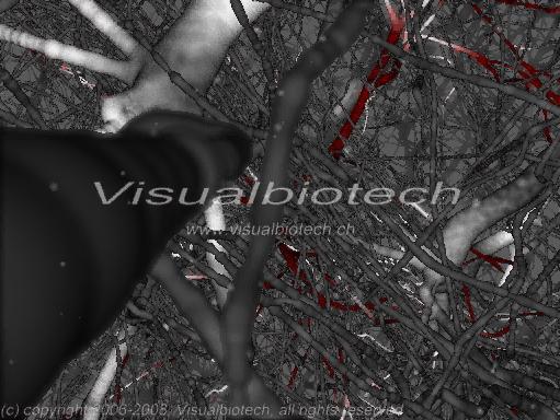 forest of neurons in activity