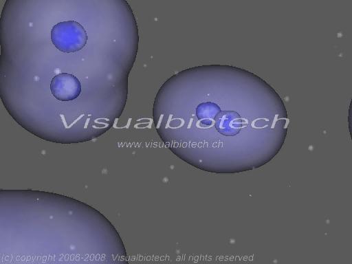 stemcells division